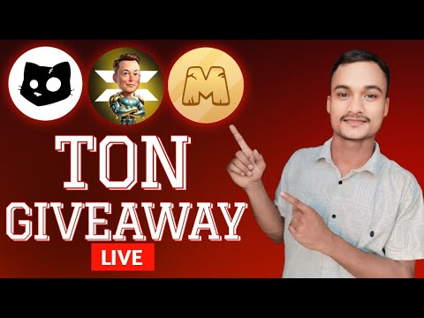 Hamster Kombat Ton Giveaway || Hamster Kombat Gas fee giveaway 🎁