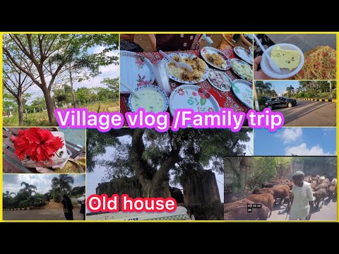 Village vlog/village house tour/Family outing/Ling drive/#hyderabad