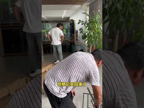 董事长给河深换别墅！董事长总经理牧羊犬 狗狗