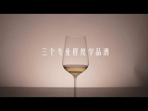 How to Taste Wine in 3 Levels of Expertise 4K 葡萄酒怎么品？三个专业程度学品酒(part 1/2)