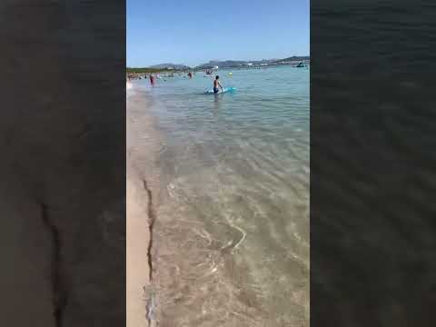 Beautiful beach , playa de Muro , Mallorca #palmademallorca #playademuro