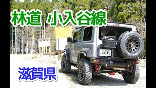 林道起点から早速倒木...おにゅう峠に行って来ました【林道 小入谷線・滋賀県高島市朽木】