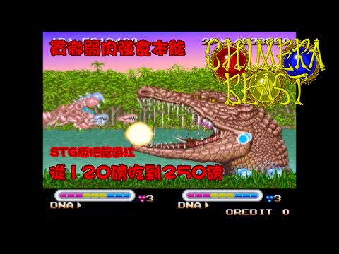 [145]生化魔獸-Chimera Beast-單人雙打零接關全破 Double Play 1 Coin Clear(NoMiss) 當年曾未正式發行的未完成肉食生物系STG