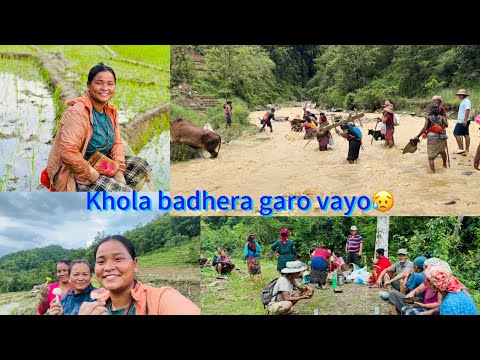 JHANDAI BAGAYAN BABAI😔KHOLA BADHERA SABAILAI GARO VO #siruthapamagar#villagelife#vlog