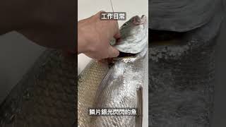 #海鮮 #fb #澎湖七美圓弟海鮮 #魚 #鮮魚