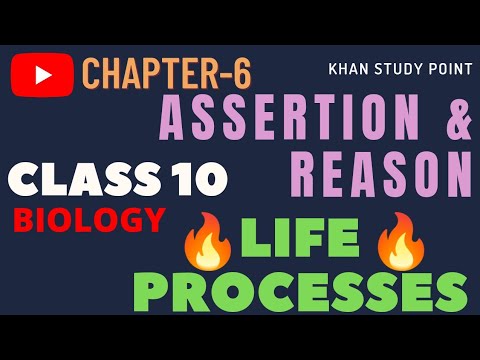 Life Processes Assertion Reason | Cbse Class10Chapter6 Assertion Reason By Fraz Khan @Khanstudypoint