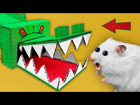 🐊 DIY Hamster Maze with GIANT ALLIGATOR! 🐹 [OBSTACLE COURSE]