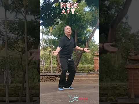 【元宏排舞教室】短片2-85-阿帕次 排舞 / APT. line dance