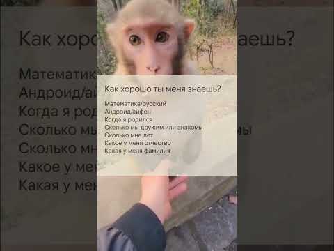 тест на друзей#рек#мем#друг#обезьяна