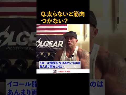 【筋トレ/ダイエット】太らないと　筋肉つかない？　いや、、、世界チャンプが解答！【山岸秀匡】