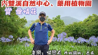 內雙溪自然中心、藥用植物園 賞愛情花 (音樂: 蝶戀花 ; 作曲編曲: 杰森)