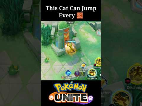 This Cat can jump every Wall 😳🔥|| Pokemon unite