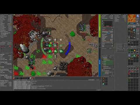 Mother of Scarabs Lair ~ SOLO EK 50 (skill 63, no imbues) ~ 380k raw xp/h