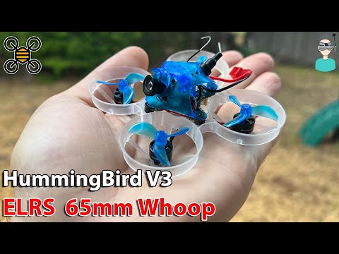 NewBeeDrone Hummingbird V3 BNF // Budget Racing Whoop