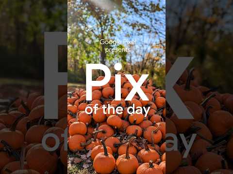 What’s your favorite fall activity? 👀 🎃 #PixOfTheDay