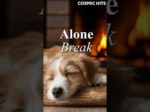 Kep your puppy relaxed with magical tunes 🎶🐶 #DogsMusic #RelaxingMusic