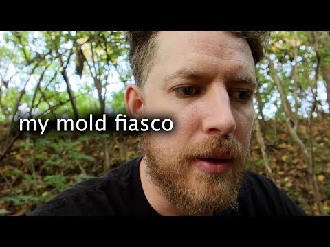 My Mold Fiasco