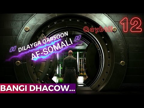 Dilayga Qarsoon Part 12 | Hitman world of assassination