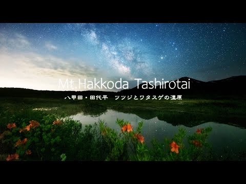 Time Lapse #129　Mt.Hakkoda Tashirotai ツツジとワタスゲの湿原 八甲田・田代平 4K