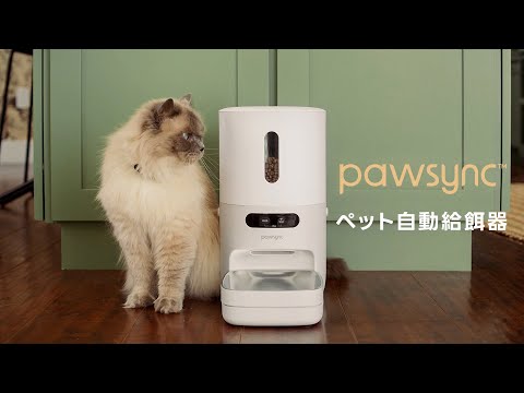 Pawsyncペット自動給餌器 | 製品紹介動画