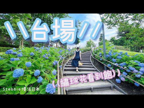 (ENG SUB CC)[Japan Vlog] Slow Life: Walking in Odaiba💜Hydrangea Staircase💠Starbucks🍰 Ferris Wheel