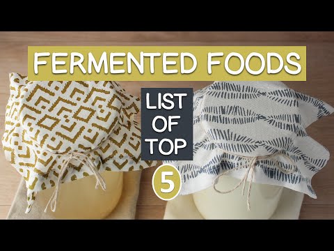 Top 5 List of Fermented Foods for the Gut Microbiome and Superior Digestion