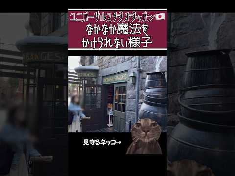 【ユニバーサルスタジオジャパン】魔法かけるのはムズカシイ #ハリーポッター #usj #ユニバ #shorts #猫ミーム