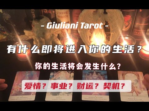 塔罗|有什么将进入你的生活？爱情？事业？财运？契机？哪些地方需要注意