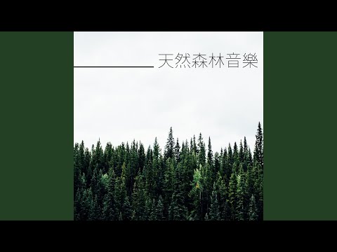 放鬆舒壓輕音樂