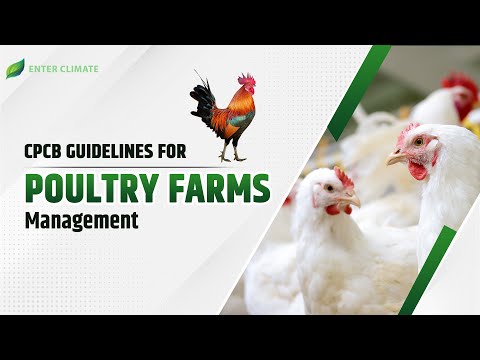 CPCB Guidelines for Poultry Farms Management | Enterclimate