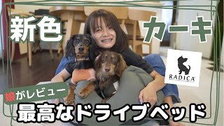 【ミニチュアダックスフンド】新色のカーキ！ラディカのドライブベッドを購入！！最高すぎて、犬も大喜び！娘が緊張の初レビュー