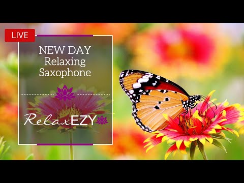 New Day Relaxing Saxophone Music for Stress Relief | Relaxing sound for Sleep, Study or Meditation |