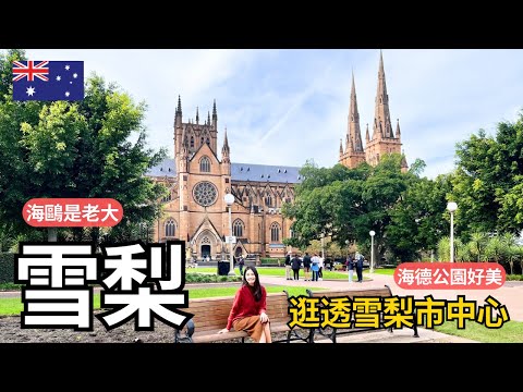 雪梨市區逛什麼? | 打卡海德公園吃西瓜蛋糕 | 歌劇院下的海鷗...| Travel Vlog Ep57 Sydney, Australia