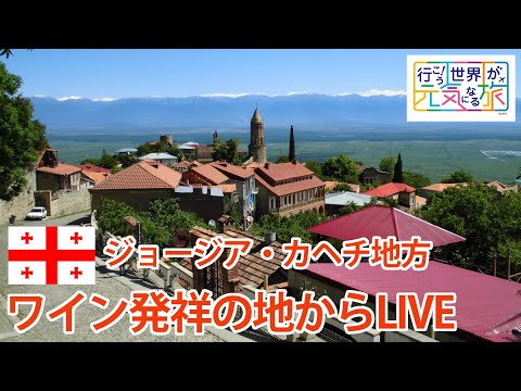 【ライブ配信@ジョージア】ワイン発祥の国の名産地カヘチ地方のワイナリー訪問