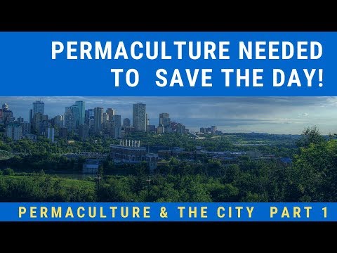 Permaculture & The City  Part 1 - Permaculture Needed To  Save The Day!