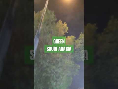 Green Saudi Arabia #greenry #plantation #beautifulcity #saudiarabia #viralvideo #youtubeshorts #ksa