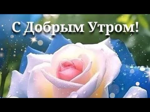 Пожелания Доброго Утра! Удачного дня! Счастья в новом дне!