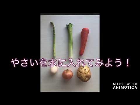 家にある野菜を浮かべてみた！