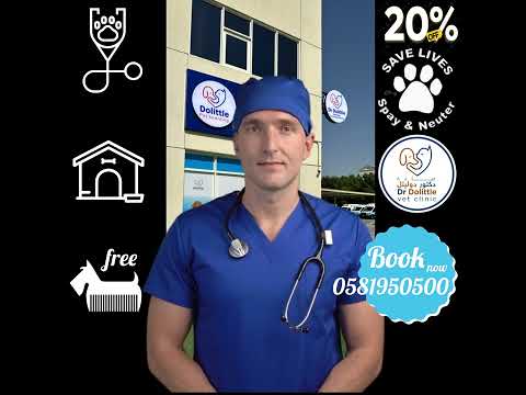 Spaying and neutering offer #SpayAndNeuterDubai #PetCareDubai #HealthyPetsUAE #DubaiPetLovers