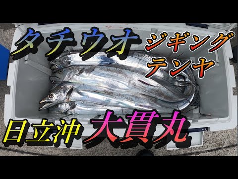 タチウオ 釣り 船釣り ジギング テンヤ 日立沖 大貫丸 太刀魚ドラゴンモンスターサイズ