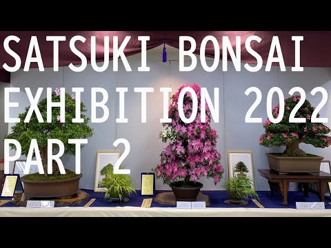 Satsuki Azalea Bonsai Exhibition 2022 - PART 2