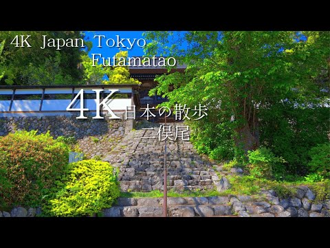 A walk starting from Tokyo Futamatao Station 4K HDR