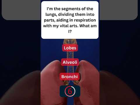 Learning About Your Respiratory System! 🌬️ #RespiratorySystem 6