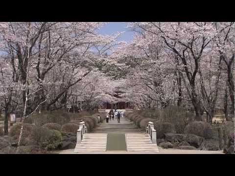 ja Chino City Tourist Information - Nagano Japan