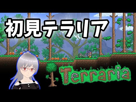 【テラリア】ハードモードボス倒すための準備かな？初見テラリアで遊ぶ！【Terraria】