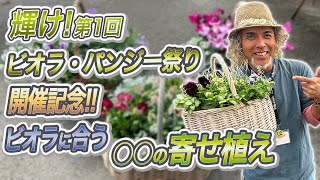 パンジー・ビオラ祭り開催！遂に入荷！秋冬のガーデニングで大人気のお花達でおしゃれな寄せ植え♪