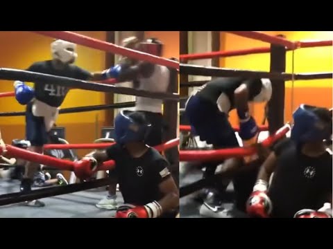 Gervonta Davis KNOCKS his SPARRING Partner OUT of the Ring Ropes • Tank Dishing Out Punishment