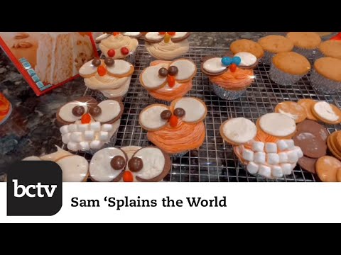 Owl Cupcakes | Sam 'Splains the World