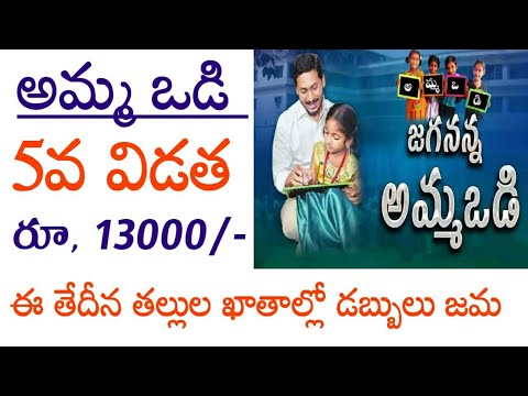 అమ్మ ఒడి డబ్బులు విడుదల రూ, 13000//amma vodi 2024 date//jagananna amma vodi 2024 date