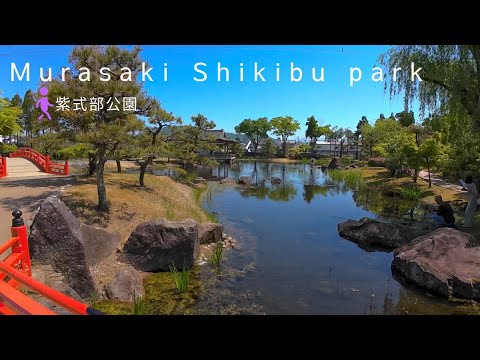 [4KHDR]Walking tour in Murasaki Shikibu Park in Echizen City, Fukui [Japanese garden]福井 紫式部公園 散策